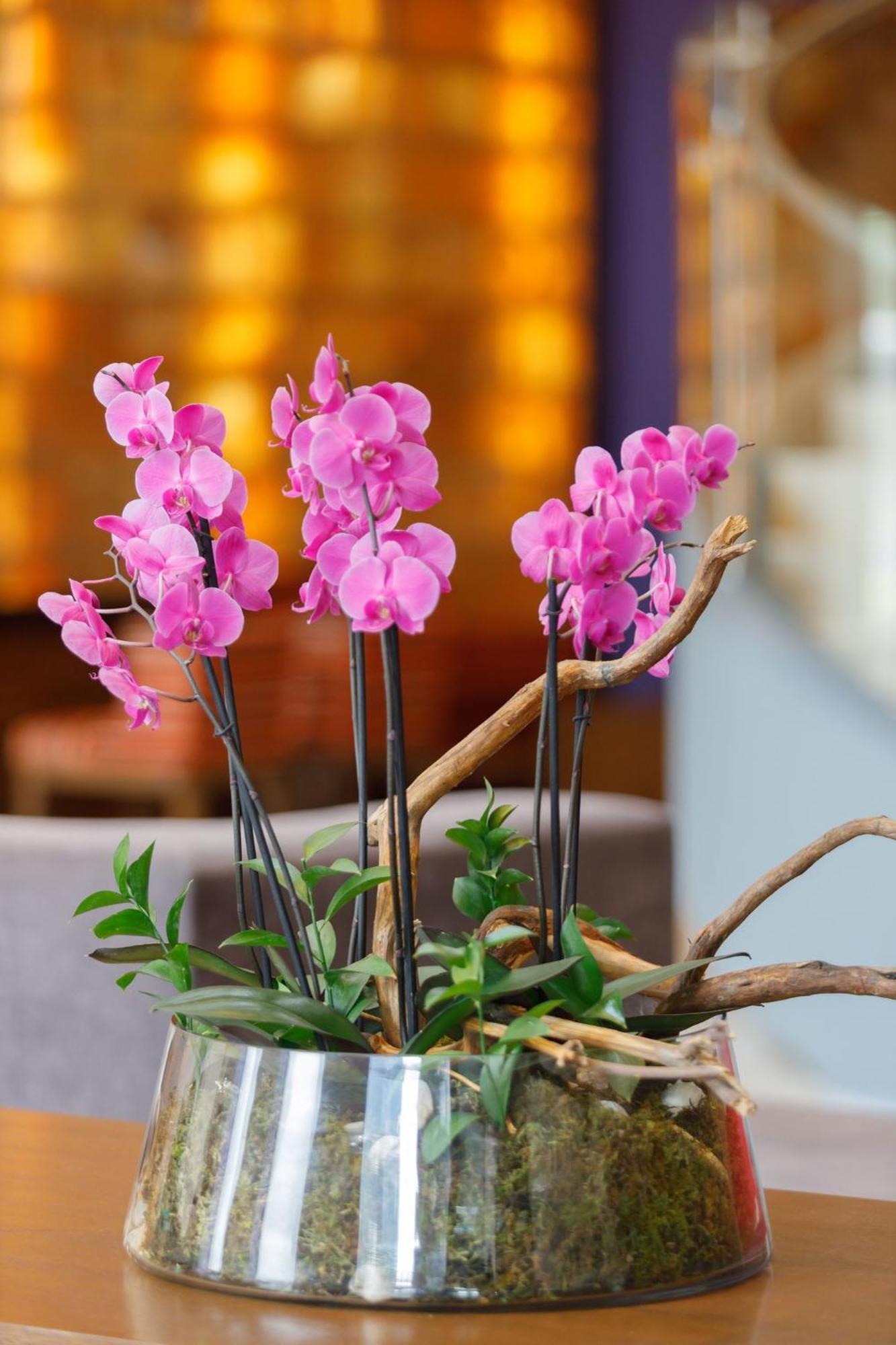 מלון Camino Real Pedregal Mexico מראה חיצוני תמונה Flower arrangement